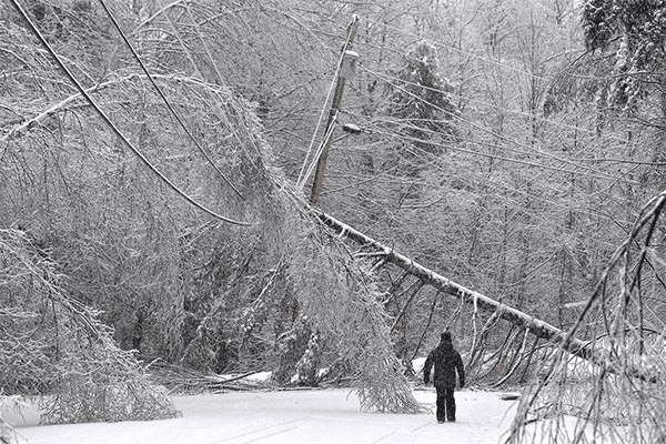 Winter Storm Tips